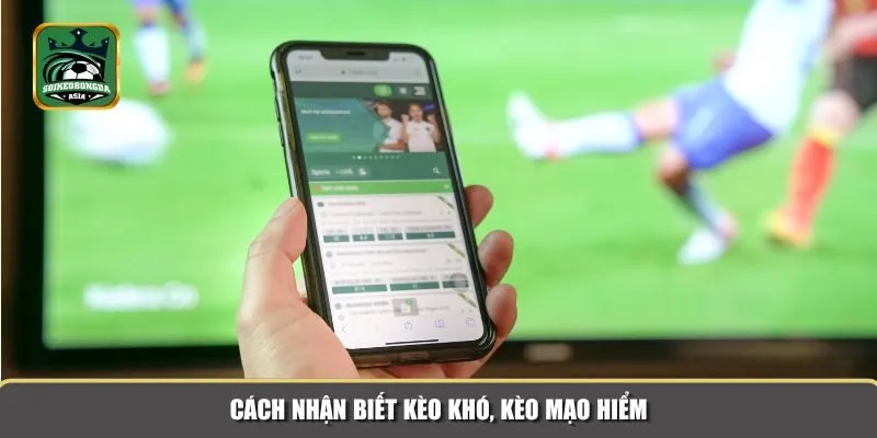 keo kho keo mao hiem 1 Những thông tin về kèo khó để bạn cân nhắc