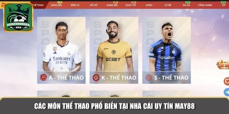 soi keo nha cai uy tin may88 Các môn thể thao phổ biến tại nhà cái uy tín MAY88