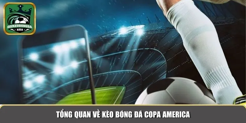 tong quan keo bong da copa america Tổng quan về kèo bóng đá Copa America