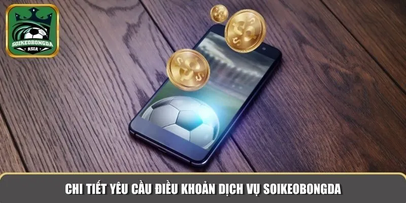 dieu khoan dich vu 2 Chi tiết yêu cầu điều khoản dịch vụ Soikeobongda